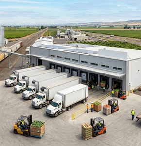 Agro Logistics & Supply Chain